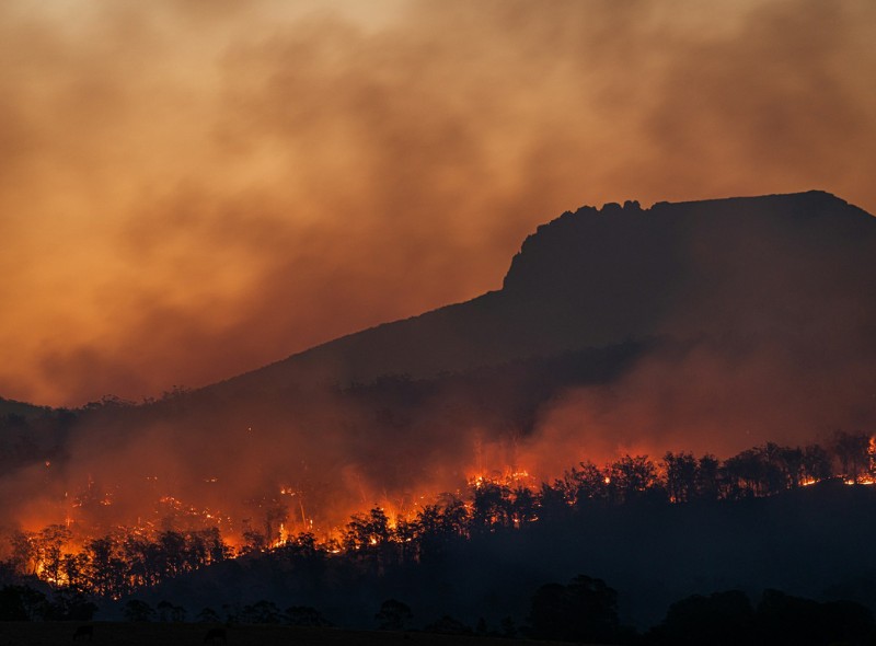 Wildfire devastation in Australia showing large-scale forest destruction